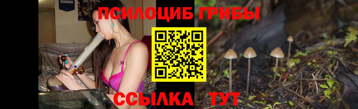 Псилоцибиновые грибы прущие грибы Красноярск